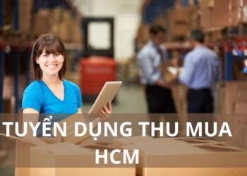 Tình hình tuyển thu mua tại HCM 2024 khá sôi động