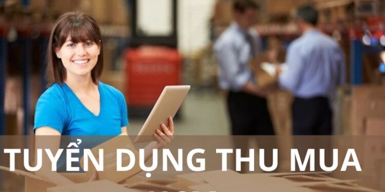 Tình hình tuyển thu mua tại HCM 2024 khá sôi động