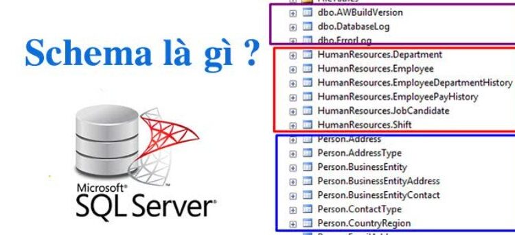 Schema là gì? Tìm hiểu về khái niệm Schema