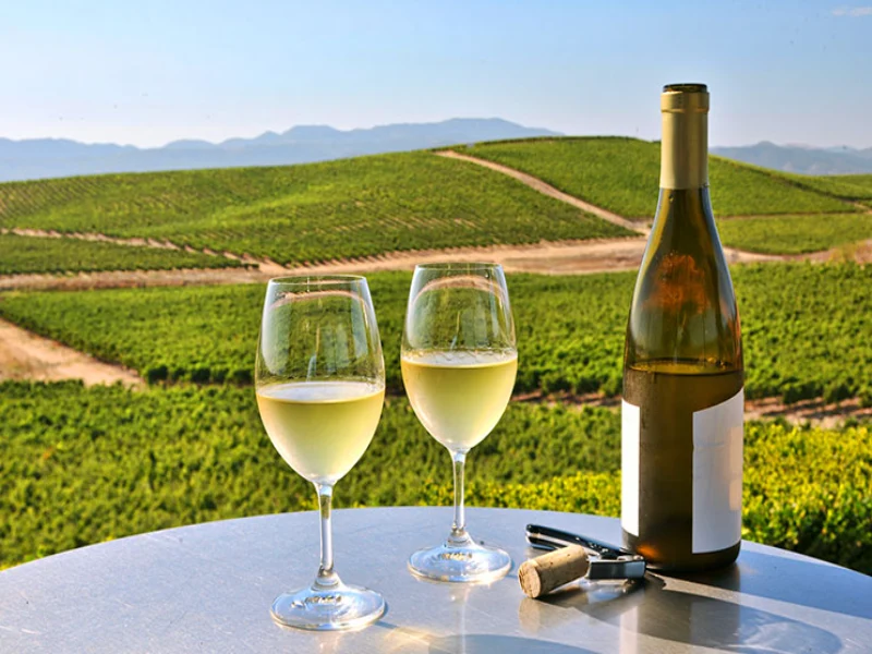 Giá rượu vang trắng phụ thuộc vào nhiều yếu tố