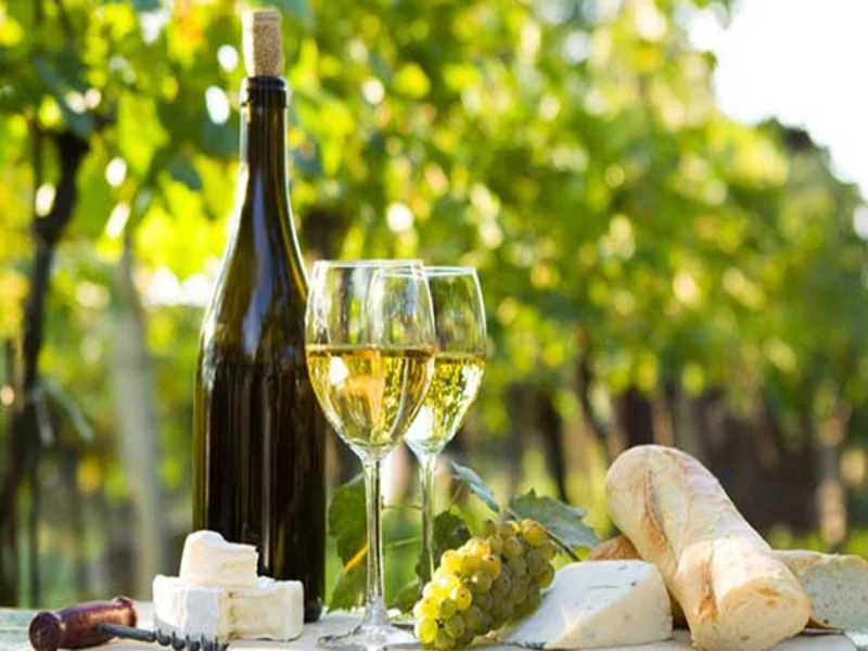 Cấp nhật giá theo giống nho vang trắng phổ biến